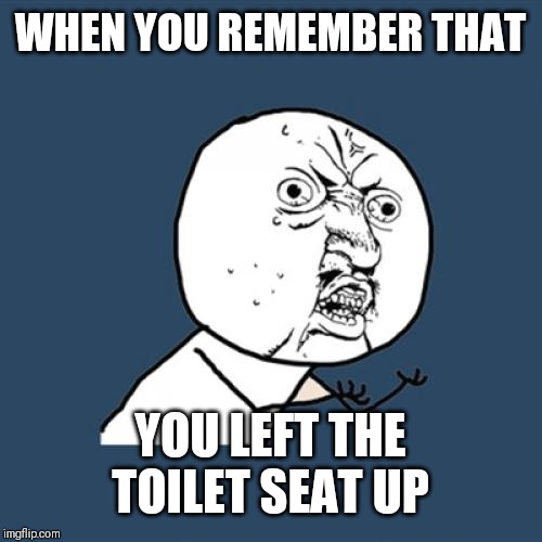 Y U No Meme | WHEN YOU REMEMBER THAT; YOU LEFT THE TOILET SEAT UP | image tagged in memes,y u no | made w/ Imgflip meme maker