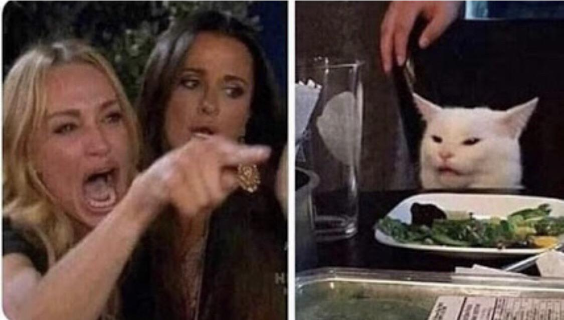 lady yelling at confused cat Blank Meme Template