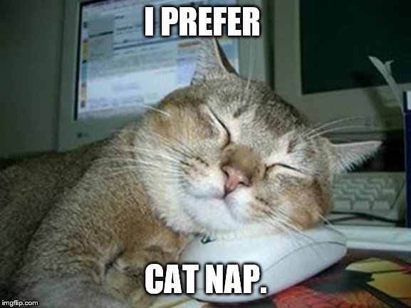 sleepy cat | I PREFER CAT NAP. | image tagged in sleepy cat | made w/ Imgflip meme maker