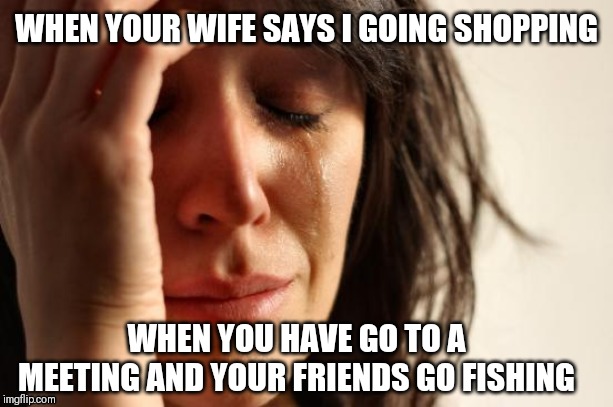 First World Problems Meme | WHEN YOUR WIFE SAYS I GOING SHOPPING; WHEN YOU HAVE GO TO A MEETING AND YOUR FRIENDS GO FISHING | image tagged in memes,first world problems | made w/ Imgflip meme maker