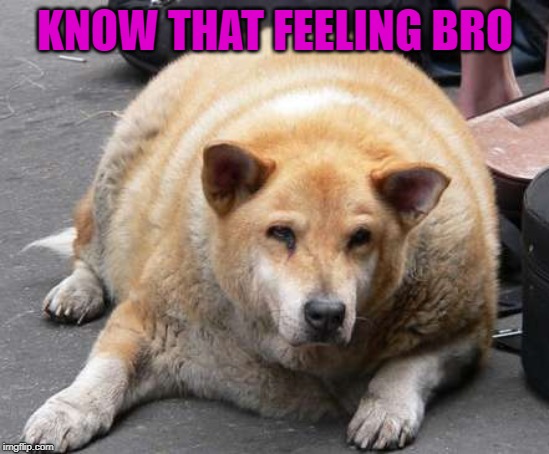 KNOW THAT FEELING BRO | made w/ Imgflip meme maker