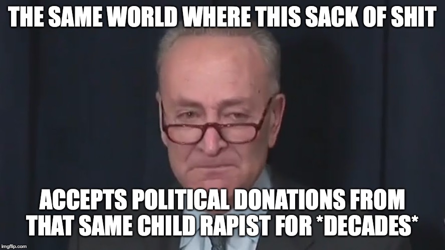 Chuck Schumer Crying | THE SAME WORLD WHERE THIS SACK OF SHIT ACCEPTS POLITICAL DONATIONS FROM THAT SAME CHILD RAPIST FOR *DECADES* | image tagged in chuck schumer crying | made w/ Imgflip meme maker