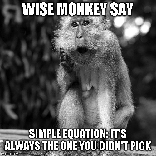 Wise Monkey | WISE MONKEY SAY SIMPLE EQUATION: IT'S ALWAYS THE ONE YOU DIDN'T PICK | image tagged in wise monkey | made w/ Imgflip meme maker