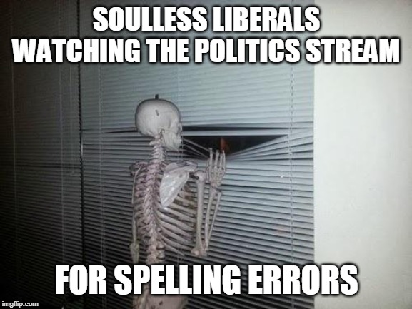 TRYING TO FIND SOMETHING TO ARGUE ABOUT | SOULLESS LIBERALS WATCHING THE POLITICS STREAM; FOR SPELLING ERRORS | image tagged in skeleton looking out window,liberals | made w/ Imgflip meme maker