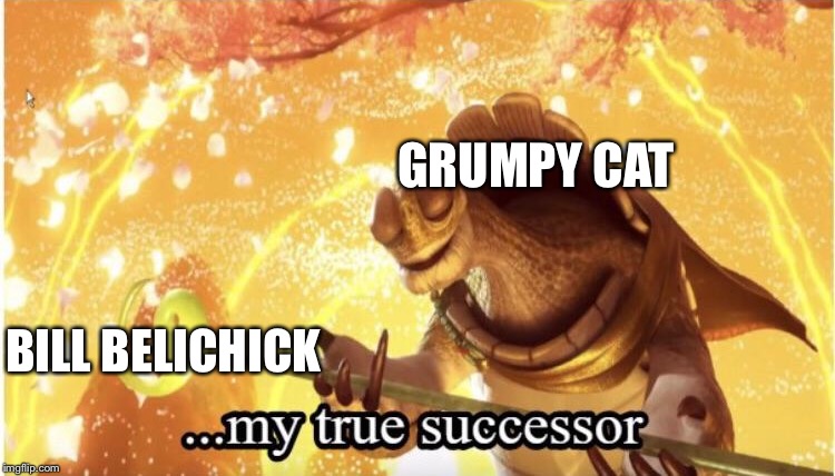 Meh. | GRUMPY CAT; BILL BELICHICK | image tagged in my true successor,grumpy cat | made w/ Imgflip meme maker