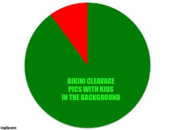 pie chart | BIKINI CLEAVAGE PICS WITH KIDS IN THE BACKGROUND | image tagged in pie chart | made w/ Imgflip meme maker