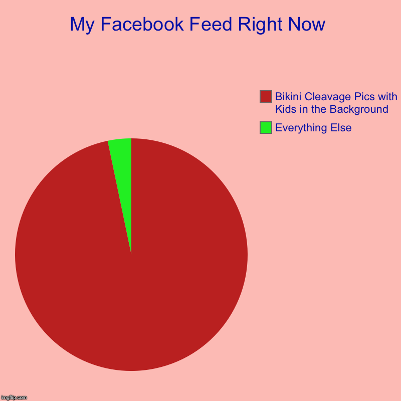 My Facebook Feed Right Now | Everything Else, Bikini Cleavage Pics with Kids in the Background | image tagged in charts,pie charts,memes,funny,true story,facebook | made w/ Imgflip chart maker