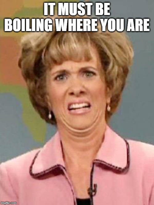 Grossed Out | IT MUST BE BOILING WHERE YOU ARE | image tagged in grossed out | made w/ Imgflip meme maker