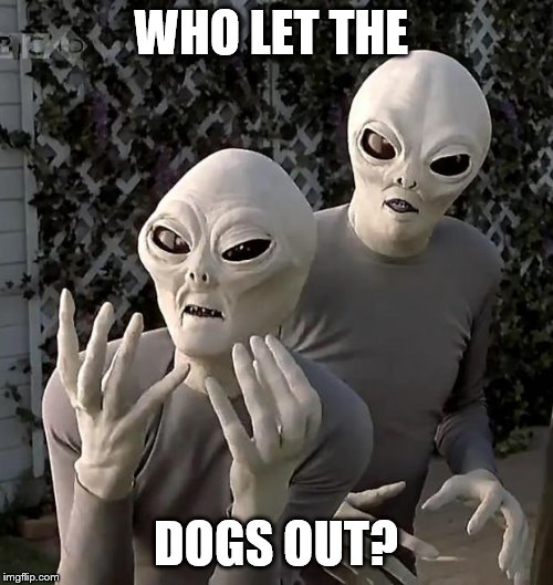 Aliens | WHO LET THE DOGS OUT? | image tagged in aliens | made w/ Imgflip meme maker