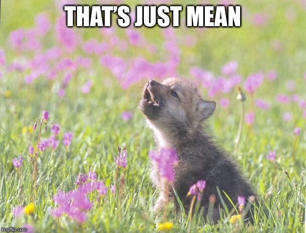 Baby Insanity Wolf Meme | THAT’S JUST MEAN | image tagged in memes,baby insanity wolf | made w/ Imgflip meme maker