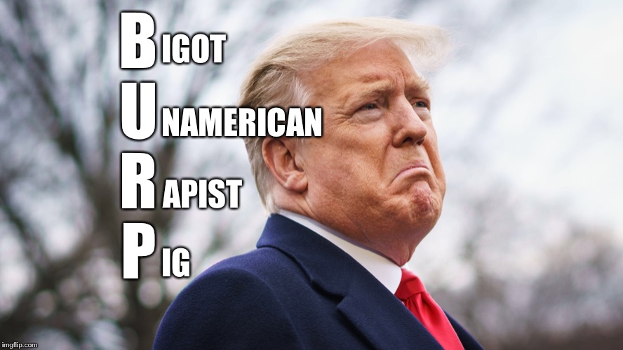 Trump burp | B
U
R
P; IGOT; NAMERICAN; APIST; IG | image tagged in trump,burp,bigot | made w/ Imgflip meme maker