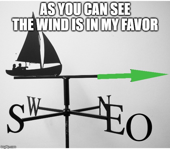 N E O | AS YOU CAN SEE THE WIND IS IN MY FAVOR; O | image tagged in upvotes,wind,neo,lol,begging,always upvotes | made w/ Imgflip meme maker