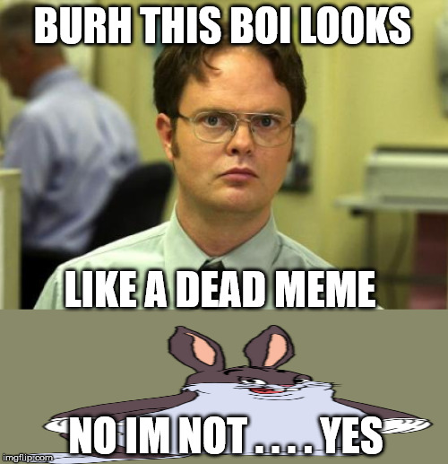 Dwight Schrute | BURH THIS BOI LOOKS; LIKE A DEAD MEME; NO IM NOT . . . . YES | image tagged in memes,dwight schrute | made w/ Imgflip meme maker