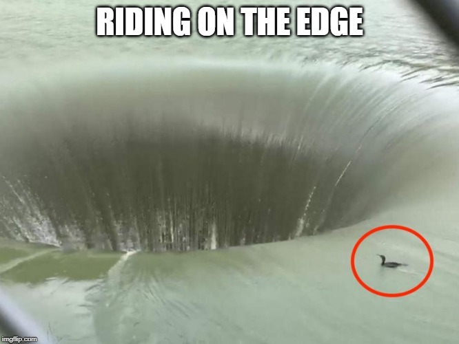 AT LEAST HE CAN FLY AWAY | RIDING ON THE EDGE | image tagged in ducks,duck,sinking,memes | made w/ Imgflip meme maker