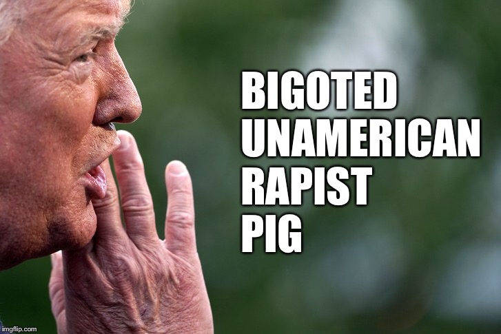 Trump burp | BIGOTED
UNAMERICAN
RAPIST
PIG | image tagged in trump,bigot,unamerican,rapist,pig | made w/ Imgflip meme maker