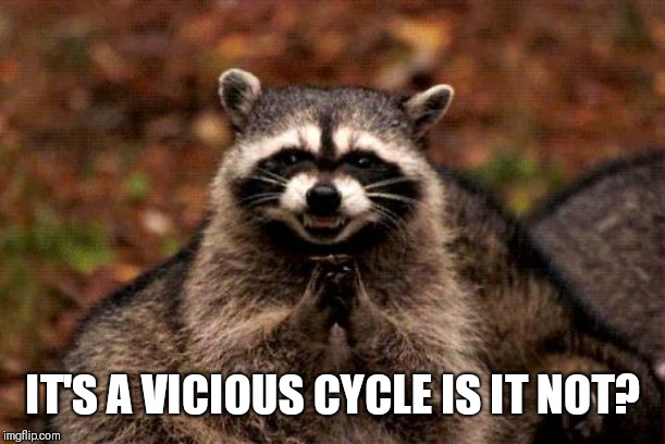 Evil Plotting Raccoon Meme | IT'S A VICIOUS CYCLE IS IT NOT? | image tagged in memes,evil plotting raccoon | made w/ Imgflip meme maker