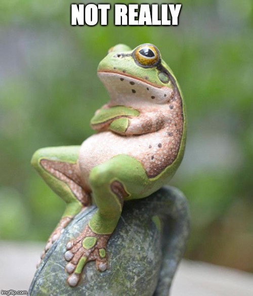nah frog | NOT REALLY | image tagged in nah frog | made w/ Imgflip meme maker
