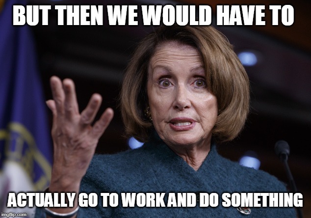 Good old Nancy Pelosi | BUT THEN WE WOULD HAVE TO ACTUALLY GO TO WORK AND DO SOMETHING | image tagged in good old nancy pelosi | made w/ Imgflip meme maker