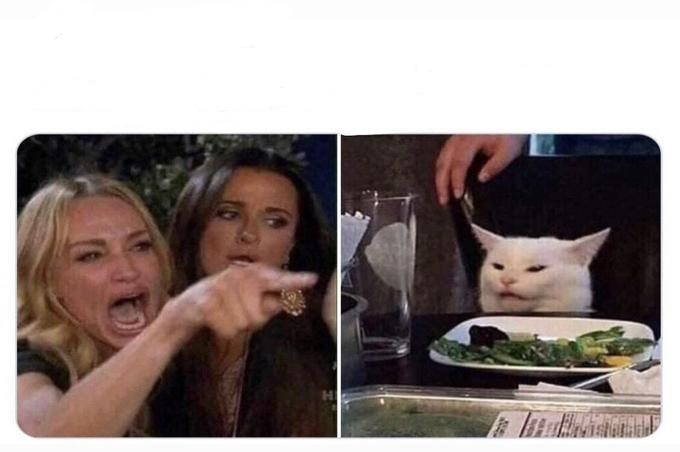 Woman shouting at cat Blank Meme Template