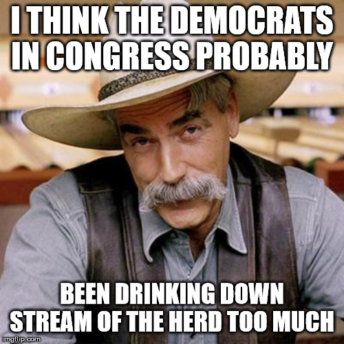 SARCASM COWBOY | I THINK THE DEMOCRATS IN CONGRESS PROBABLY; BEEN DRINKING DOWN STREAM OF THE HERD TOO MUCH | image tagged in sarcasm cowboy | made w/ Imgflip meme maker