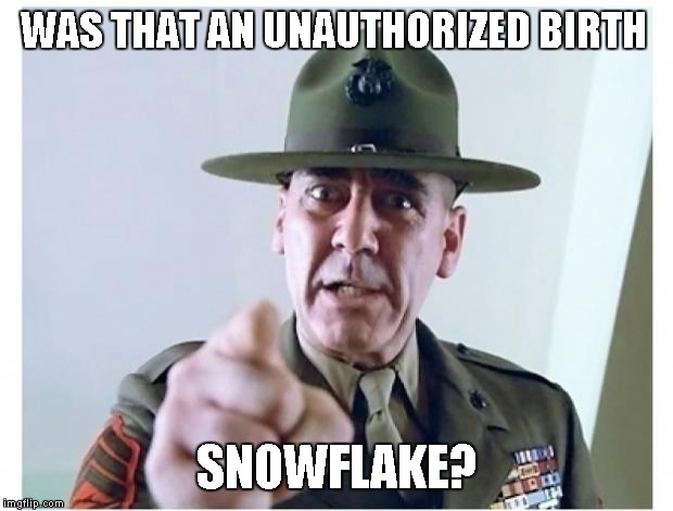 Full metal jacket | WAS THAT AN UNAUTHORIZED BIRTH SNOWFLAKE? | image tagged in full metal jacket | made w/ Imgflip meme maker