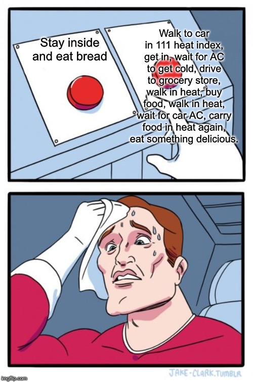 Two Buttons Meme | Walk to car in 111 heat index, get in, wait for AC to get cold, drive to grocery store, walk in heat, buy food, walk in heat, wait for car AC, carry food in heat again, eat something delicious. Stay inside and eat bread | image tagged in memes,two buttons | made w/ Imgflip meme maker