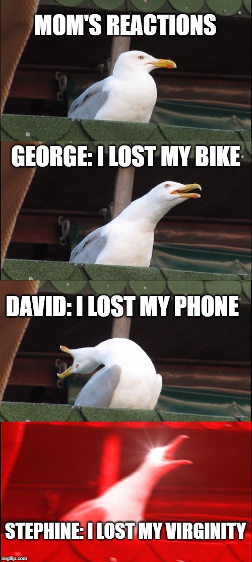 Inhaling Seagull Meme | MOM'S REACTIONS; GEORGE: I LOST MY BIKE; DAVID: I LOST MY PHONE; STEPHINE: I LOST MY VIRGINITY | image tagged in memes,inhaling seagull | made w/ Imgflip meme maker