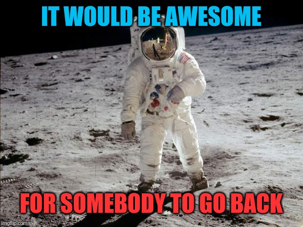 Moon Landing | IT WOULD BE AWESOME FOR SOMEBODY TO GO BACK | image tagged in moon landing | made w/ Imgflip meme maker
