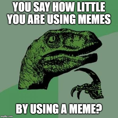 Philosoraptor Meme | YOU SAY HOW LITTLE YOU ARE USING MEMES BY USING A MEME? | image tagged in memes,philosoraptor | made w/ Imgflip meme maker