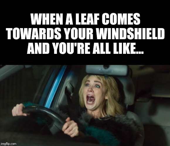 Damn leaf came outta nowhere... | WHEN A LEAF COMES TOWARDS YOUR WINDSHIELD AND YOU'RE ALL LIKE... | image tagged in driving,wreck,cars | made w/ Imgflip meme maker