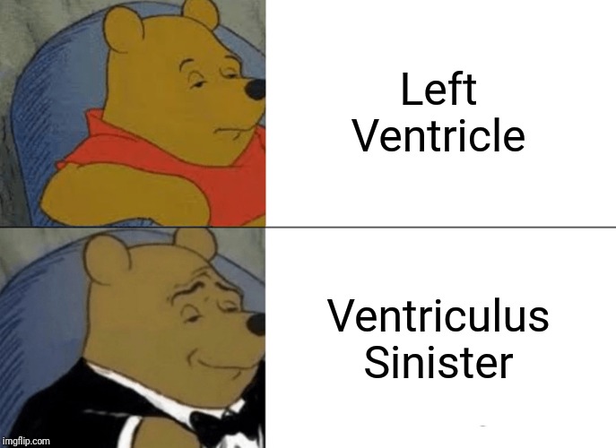 Tuxedo Winnie The Pooh | Left Ventricle; Ventriculus Sinister | image tagged in memes,tuxedo winnie the pooh | made w/ Imgflip meme maker