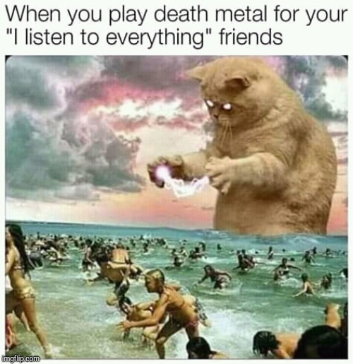 da troof | image tagged in cats,death metal | made w/ Imgflip meme maker