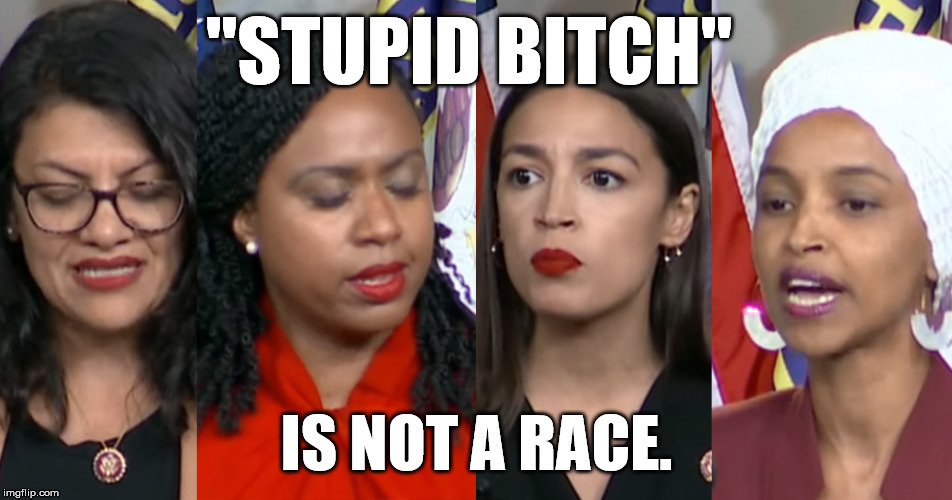 AOC Squad | "STUPID BITCH"; IS NOT A RACE. | image tagged in aoc squad | made w/ Imgflip meme maker