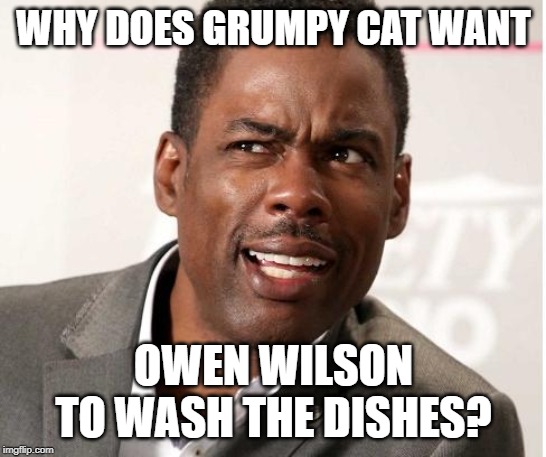 chris rock wut | WHY DOES GRUMPY CAT WANT OWEN WILSON TO WASH THE DISHES? | image tagged in chris rock wut | made w/ Imgflip meme maker