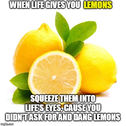 Take that, life!!! | LEMONS; WHEN LIFE GIVES YOU; SQUEEZE THEM INTO LIFE'S EYES, CAUSE YOU DIDN'T ASK FOR AND DANG LEMONS | image tagged in when lif gives you lemons | made w/ Imgflip meme maker