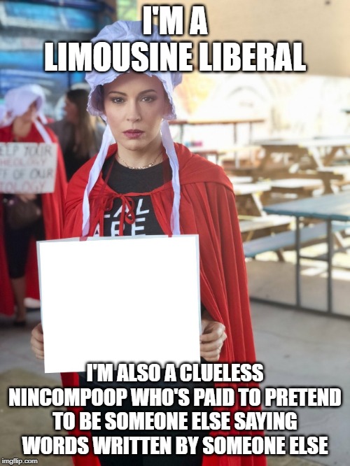 Alyssa Milano Sign | I'M A LIMOUSINE LIBERAL; I'M ALSO A CLUELESS NINCOMPOOP WHO'S PAID TO PRETEND TO BE SOMEONE ELSE SAYING WORDS WRITTEN BY SOMEONE ELSE | image tagged in alyssa milano sign | made w/ Imgflip meme maker
