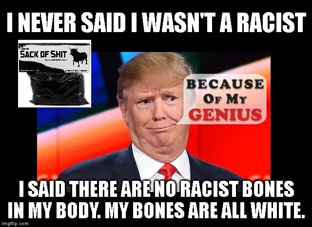 My Bone Spurs Make Me Feel Like  a Cowboy Killing Injuns | I NEVER SAID I WASN'T A RACIST; I SAID THERE ARE NO RACIST BONES IN MY BODY. MY BONES ARE ALL WHITE. | image tagged in racist,not racist,not really,liar,bone spurs | made w/ Imgflip meme maker