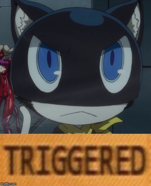 TRIGGERED MORGANA | image tagged in triggered | made w/ Imgflip meme maker