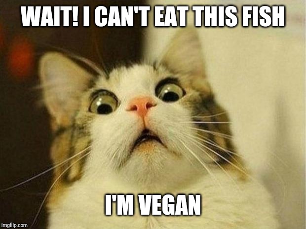 Scared Cat Meme | WAIT! I CAN'T EAT THIS FISH; I'M VEGAN | image tagged in memes,scared cat | made w/ Imgflip meme maker
