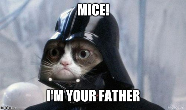 Grumpy Cat Star Wars Meme | MICE! I'M YOUR FATHER | image tagged in memes,grumpy cat star wars,grumpy cat | made w/ Imgflip meme maker