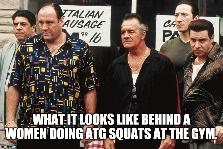 Soprano Squats | WHAT IT LOOKS LIKE BEHIND A WOMEN DOING ATG SQUATS AT THE GYM. | image tagged in sopranos,gym,comedy | made w/ Imgflip meme maker
