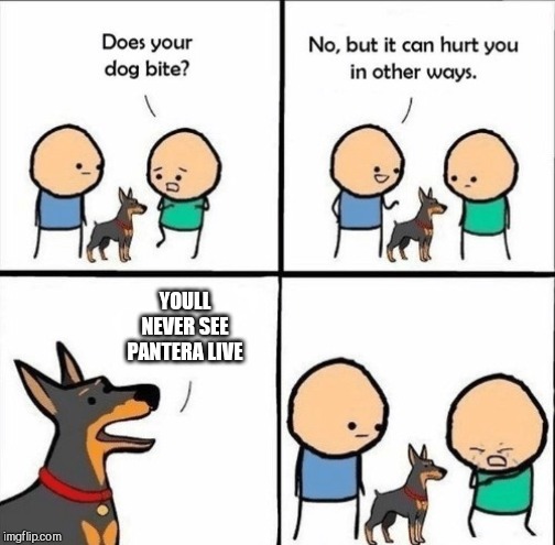 does your dog bite | YOULL NEVER SEE PANTERA LIVE | image tagged in does your dog bite | made w/ Imgflip meme maker