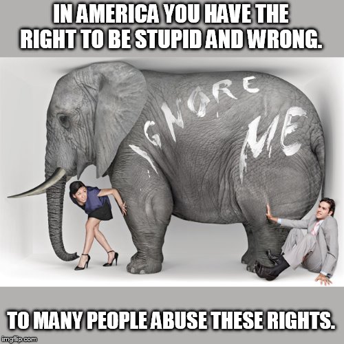 elephant in the room | IN AMERICA YOU HAVE THE RIGHT TO BE STUPID AND WRONG. TO MANY PEOPLE ABUSE THESE RIGHTS. | image tagged in elephant in the room | made w/ Imgflip meme maker