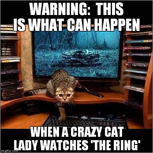 The Cat Version of 'The Ring' | WARNING:  THIS IS WHAT CAN HAPPEN; WHEN A CRAZY CAT LADY WATCHES 'THE RING' | image tagged in cats,the ring | made w/ Imgflip meme maker