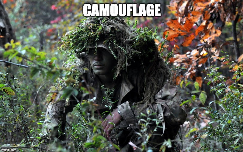 camouflage | CAMOUFLAGE | image tagged in camouflage | made w/ Imgflip meme maker