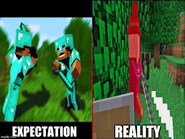 REALITY; EXPECTATION | image tagged in minecraft,expectation vs reality | made w/ Imgflip meme maker