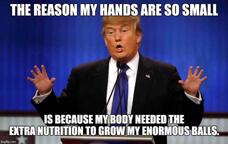 Huuuge... am i right? | THE REASON MY HANDS ARE SO SMALL; IS BECAUSE MY BODY NEEDED THE EXTRA NUTRITION TO GROW MY ENORMOUS BALLS. | image tagged in trump hands,maga,balls | made w/ Imgflip meme maker