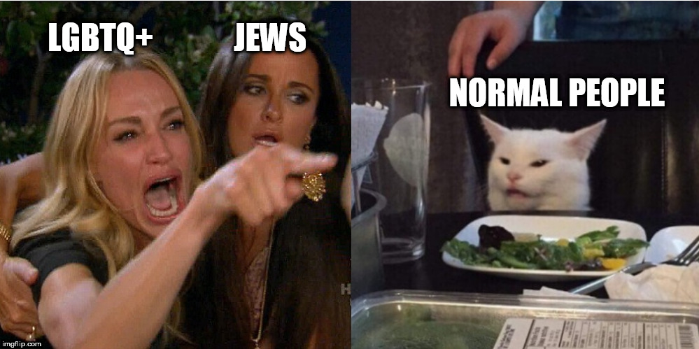 woman yelling at cat | LGBTQ+             JEWS; NORMAL PEOPLE | image tagged in woman yelling at cat | made w/ Imgflip meme maker