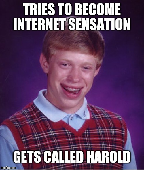 Bad Luck Brian Meme | TRIES TO BECOME INTERNET SENSATION GETS CALLED HAROLD | image tagged in memes,bad luck brian | made w/ Imgflip meme maker