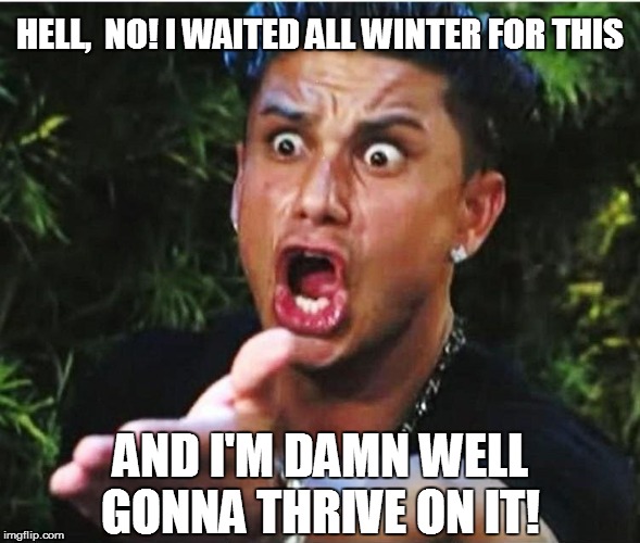 HELL,  NO! I WAITED ALL WINTER FOR THIS AND I'M DAMN WELL GONNA THRIVE ON IT! | made w/ Imgflip meme maker